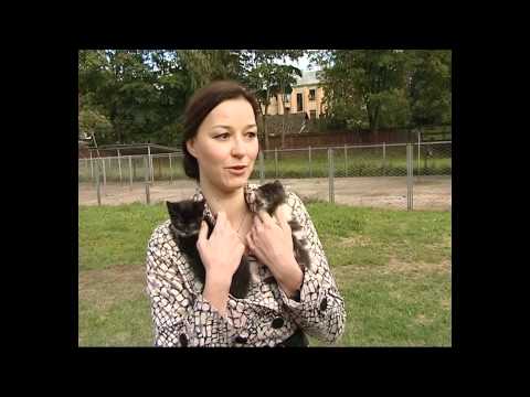 S02E05 Marija Naumova kļūst par aizbildni kaķēniem