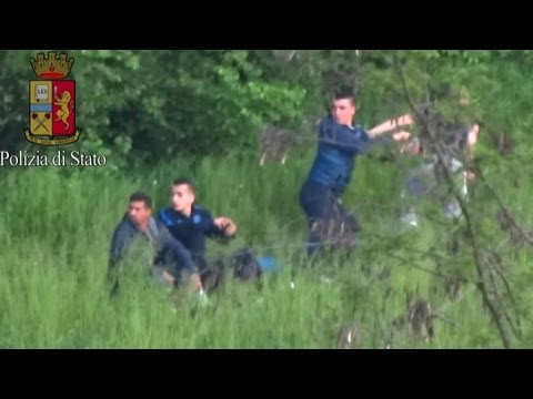 Drug dealing in the woods near the eastern ring road: 4 arrests in Milan