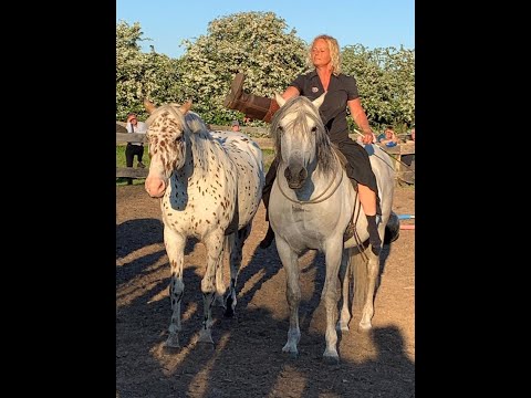 erst die Schuhe ausziehen und dann