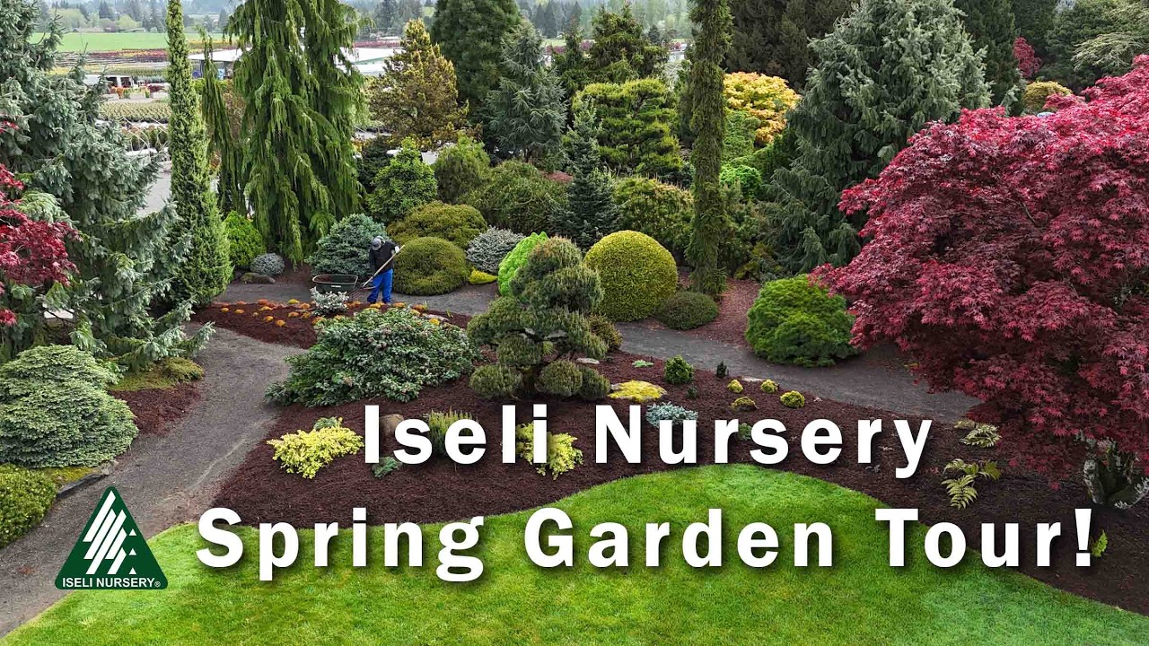 Iseli Nursery Spring Garden Tour 2026