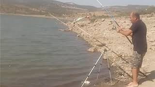 Manisa Bağyolu göletinde sazan avı
