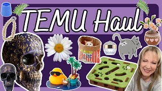 NEW TEMU HAUL! Did I Order That?