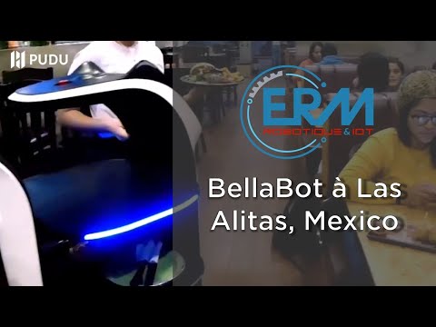 Robot Livraison Service À Table Restauration Pudu Robotics Bellabot Accueil Cart_7