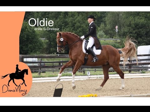 [Oldies] Ich kommentiere | Erste S-Dressur