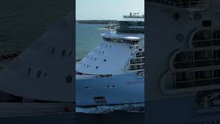 Action at PortMiami: Freedom of the Seas at its best angle, ready for adventure.