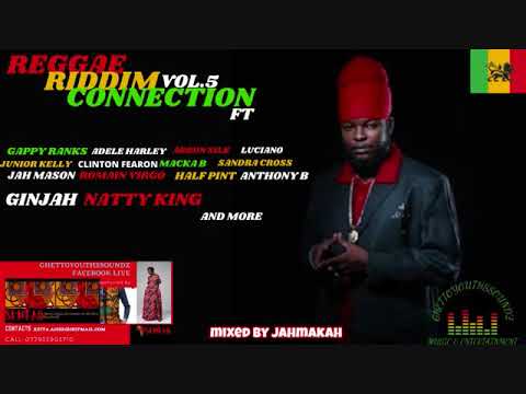 REGGAE RIDDIM CONNECTION VOL.5  FT GAPPY RANKS,ARRON SILK,PRESSURE,JAH SUN,SANDRA CROSS,MACKA B&MORE