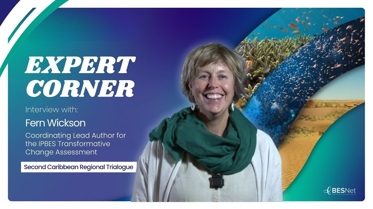 Expert Corner with Fern Wickson at the BES-Net Second Caribbean Regional Trialogue