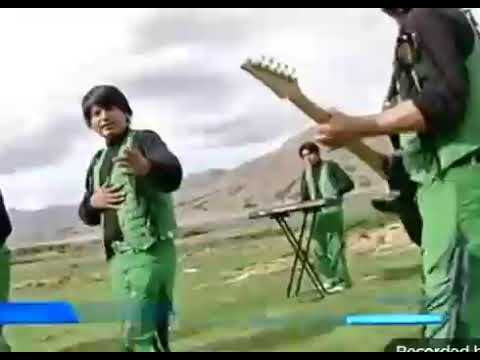 Linda Cusquenita - Pollitos Lagrimas x Amor