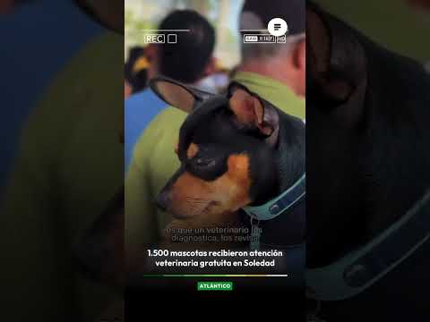 1.500 mascotas recibieron atención veterinaria gratuita en Soledad