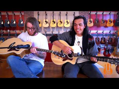 Taylor 214ce | Standard vs. DLX