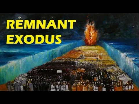 , title : 'Remnant Exodus'