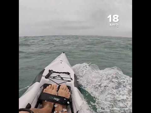 Big swell! #surfski #kayaking #windy #downwind