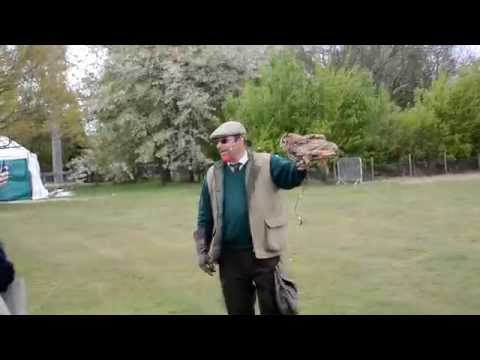 Rocky The Owl & Andrew Charlton