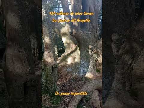 Arequita en Lavalleja Uruguay