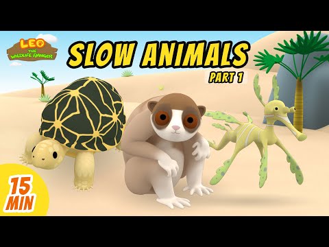 Slow Animals Minisode Compilation (Part 1/2) - Leo the Wildlife Ranger | Animation | For Kids
