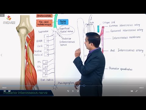 Posterior Interosseous Nerve | Upper Limb Nerve Anatomy Simplified | Dr G Bhanu Prakash