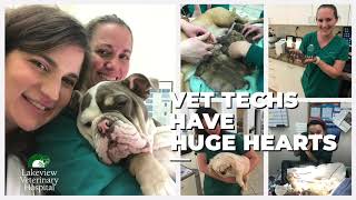 Vet Tech Week 2019