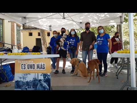 Entre Patas, campaa en defensa del bienestar de tus mascotas. Campillos