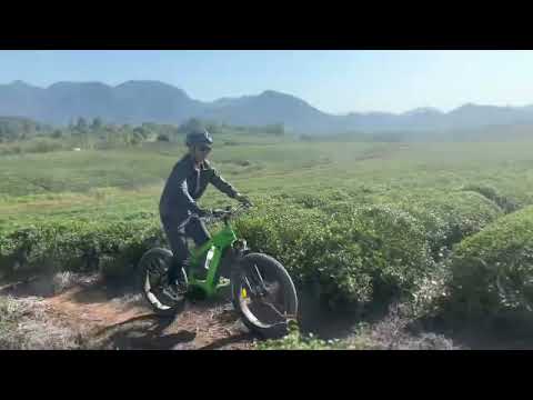 1000W electric bike , powerful center motor ebicycle climbing mountain !