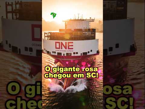 Você já viu um navio dessa cor? O gigante ONE Synergy em SC!🚢