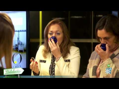 Cata de aceite - Oro Bailén Picual Dose 2,5 L