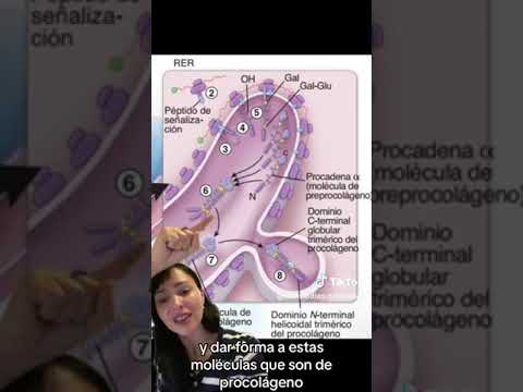 Cristina Saldias Porras-31