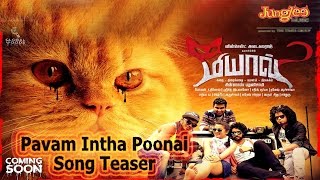 Pavam Intha Poonai Song Teaser From Meow Tamil Film