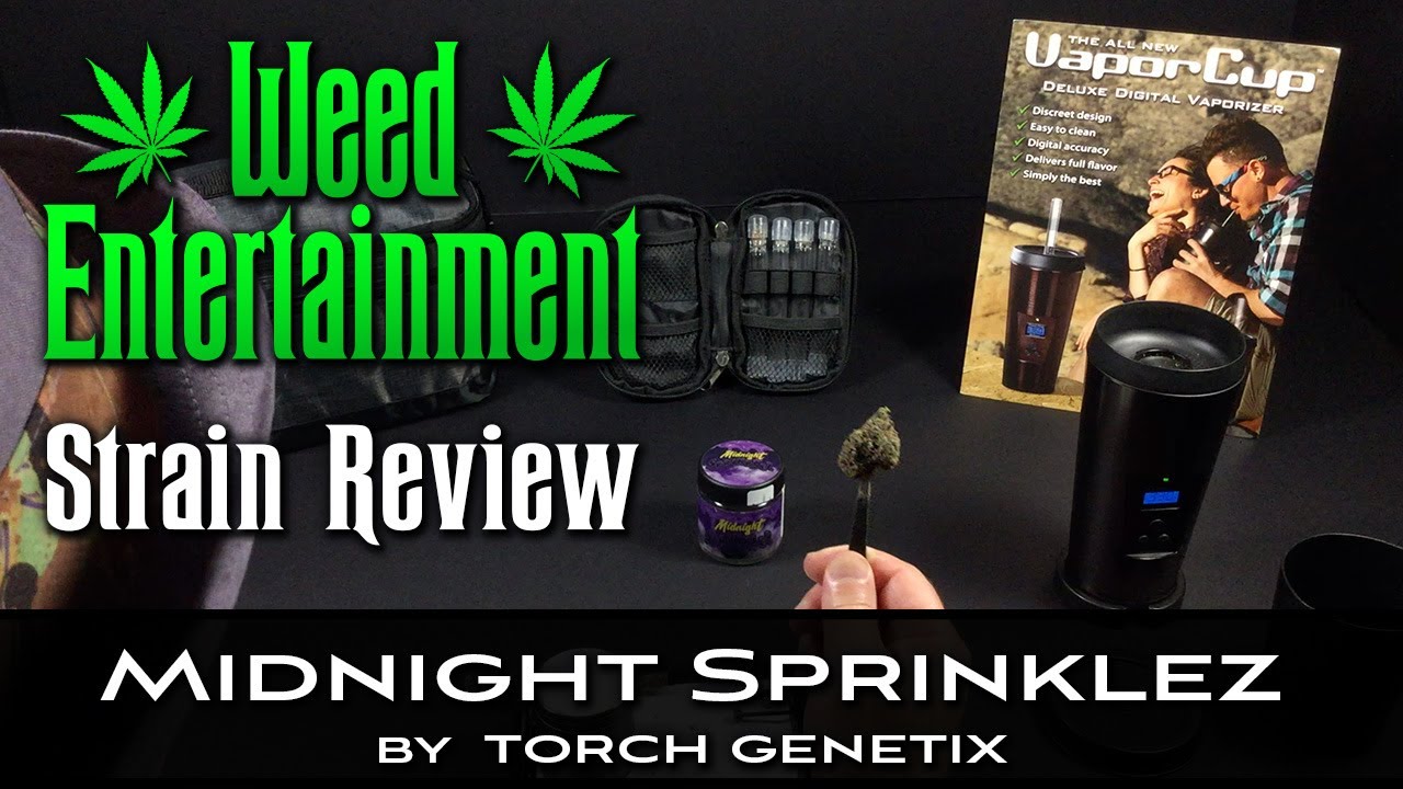 Midnight Sprinklez - Hybrid - by Torch Genetix - Strain Review - from Lemonnade, Van Nuys Ca