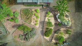 Download lagu #175 Feeding Our Fruit Trees with Homemade Compost mp3