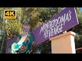 Montezooma S Revenge Shuttle Roller Coaster At Knott S Berry Farm 2022