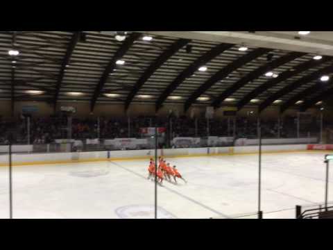 Saxony Ice Pearls Novice