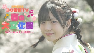 SKE48 坂本真凛 の出演動画「「SKE48 30時間TV 2025 〜春の大文化祭 SKE(サカエ)の桜はまだ満開！！〜」キービジュアル〜坂本真凛〜」のサムネイル画像