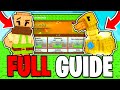 FULL GUIDE To The BEANSTALK UPDATE In Grow A Garden Roblox