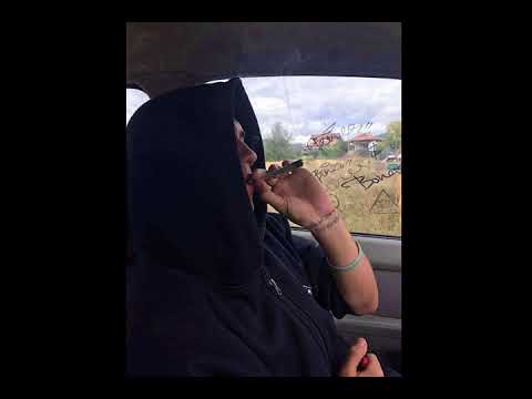 THE LIGHT - БАСА БЛЪСКА