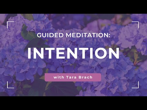 Guided Meditation on Intention: Coming Home To What Truly Matters, from Tara Brach