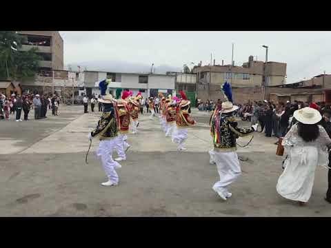 CUADRILLA DE NEGRITOS DE PACHAS - DOS DE MAYO - HUANUCO - SAN LORENZO 2026 - PACHABOLACHE