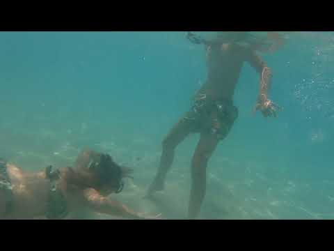 Elafonisi beach Crete - shark close encounter, August 2024