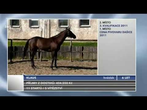 Velká Pardubická 2011-Klaus(POL)