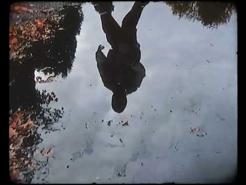 PRZ - ALLES (Official Video)