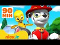 PAW Patrol S Best Animal Rescues 2 W Marshall Chase 90 Minutes Nick Jr