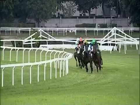 2016.10.09 Premio Dormello (ITA) - Rainbow Royal