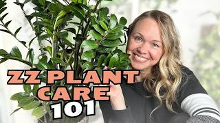 ZZ Plant Care That Actually Gets Results