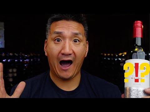 This $13 Malbec is SHOCKINGLY Good!!!
