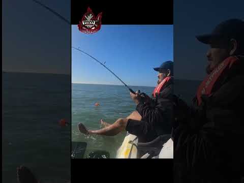 Pesca en kayak Manantiales Maldonado #corvina