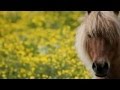 Tracy Chapman - Broken