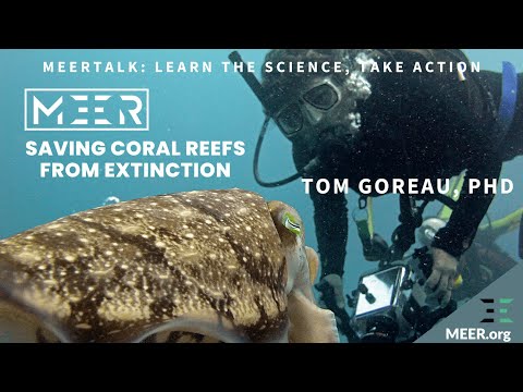 Thomas Goreau – Saving Coral Reefs from Extinction