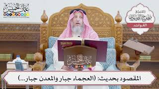 [670] المقصود بحديث: (العجماء جبار والمعدن جبار...) - عثمان الخميس