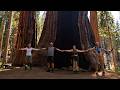 Big Trees and Bigger Rock Music in Sequoia National Park 6.13-14.2026