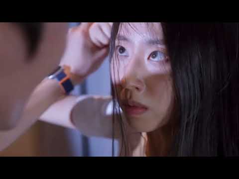 비디오 5