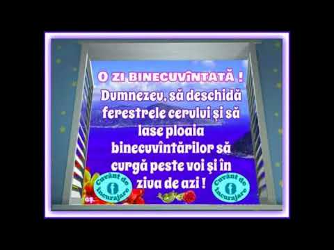 Andreea Caldararu - N-ai in lume asemanare